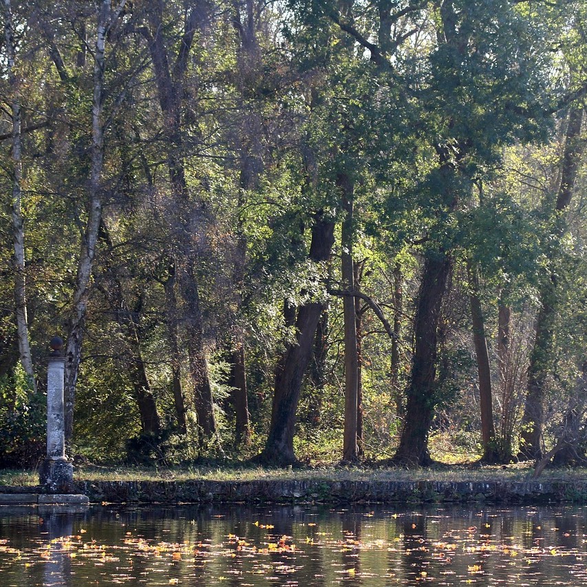 Forêt de Rambouillet